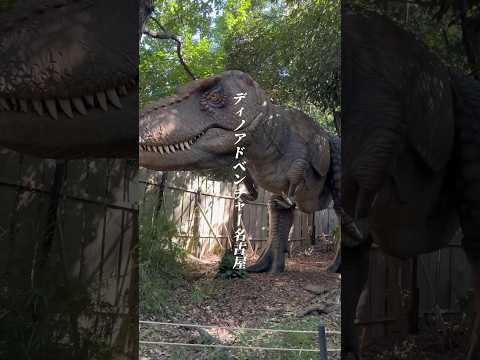 ディノアドベンチャー名古屋