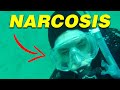 Guía de Supervivencia de Narcosis ⚠️