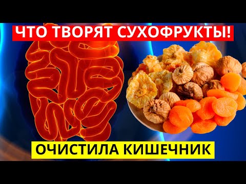 Если Употреблять Сухофрукты Каждый День, Смотри, Что С Тобой Случится