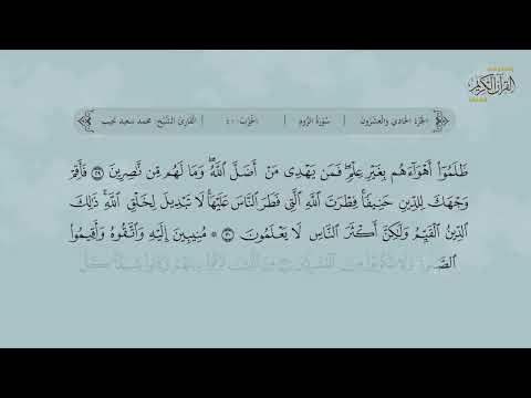 سورة الروم | القارئ : محمد سعيد نجيب