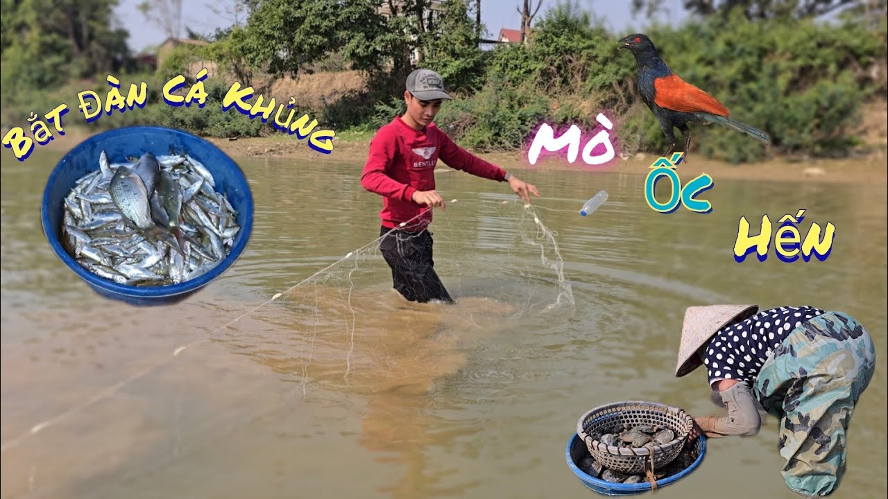 Thả Lưới Bắt Đàn Cá Và Gặp Bác Mò Ốc Hến Nhiều Quá  /Nhân Tạ Mốt