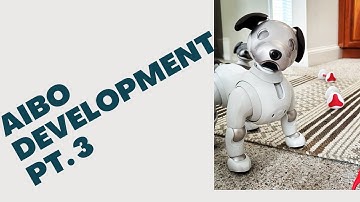 aibo Development | Part 3