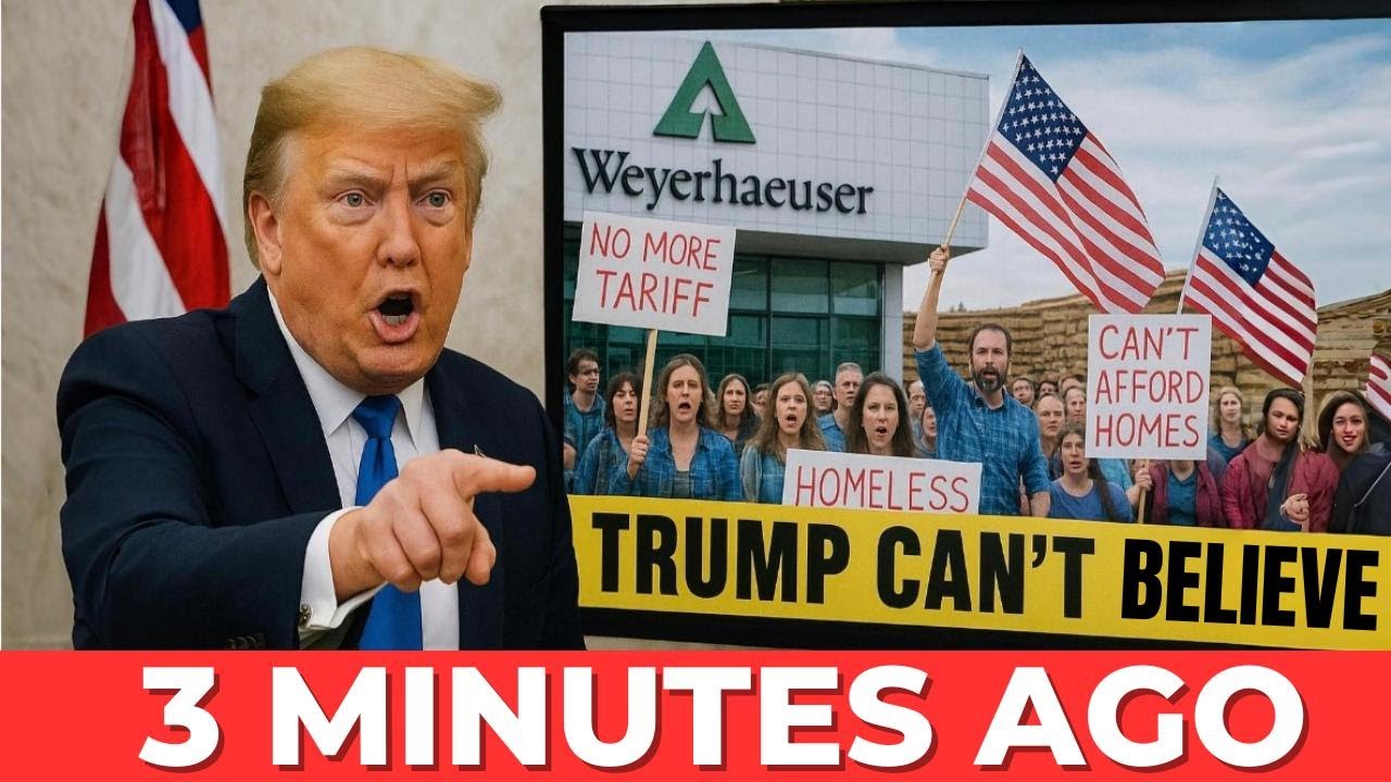 Trump SLAPS Canada’s Lumber, Carney HITS BACK with $1T THREAT – U.S. Housing CRISIS EXPLODES