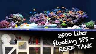 REEF TANK TOURS  exclusive SPS floating REEF  2500 liter HIGH CLASS SETUP