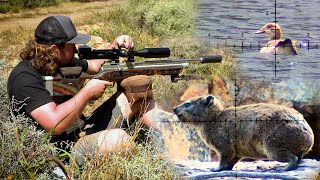 Hyrax & Goose Hunt with PCP Airguns - A Busy Day in the Mountains! screenshot 4