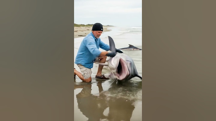 Man Rescues Stranded Swordfish In Need Of Help! #rescue #animals #wildlife