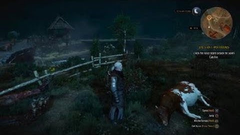 The Witcher 3: Wild Hunt_What Happens When You Kill Too Many Cows?