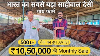 400 देसी गायों का डेयरी फार्म  | dairy farm business sahiwal desi gay cow price training milking