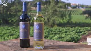 Vinhos Monte da Ravasqueira