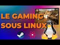 Lexprience du gaming sur linux