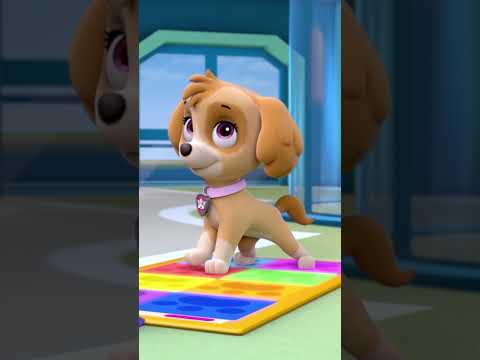 Pup Pup Boogie!