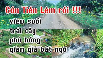 kẹt tiền anh trí hạ giá bán gấp vườn trái cây suối đẹp ở bà rịa vũng tàu