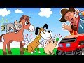 The Boo Boo Animals Song | Nursery Rhyme by Be Be Kids