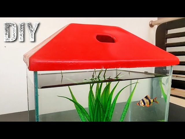 Build a Simple Mini Glass Aquarium - For Your House