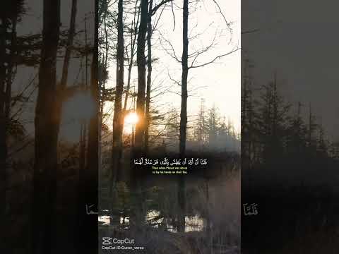 تلاوات نادرة اكسبلور الرحمن الرحمن   