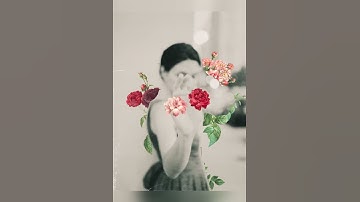 Create a quick and easy animation using the Prequel App