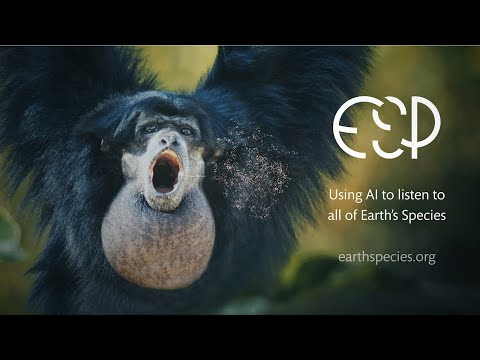 Aza Raskin and Earth Species Project