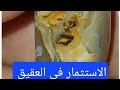 الاستثمار فى العقيق دخل يومى أرباح خياليه الاستثمار فى العقيق دخل يومى أرباح خياليه