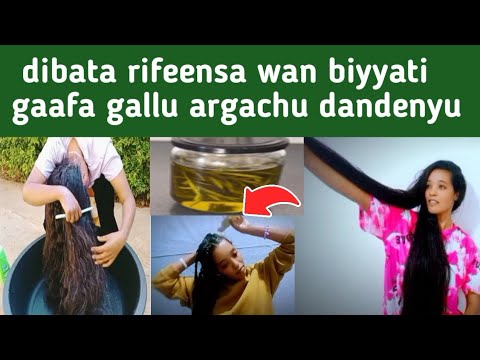 Dibata Rifeensa Wan Biyyati Gaafa Gallu Argachu Dandenyuu Hair Damage Protaction Kebekiofficial 
