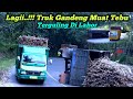 Terjadi Lagi..!! Truk Gandeng Muatan Tebu Terguling Di Lahor