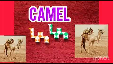 How to make camel using snake cube