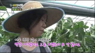 [HIT] 성공스토리 억대 농부 - 네트 멜론 귀농 부부 생생정보통 20140701
