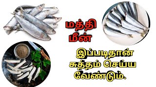 மத்தி மீன் ஈஸியா சுத்தம் செய்வது எப்படி | How To Clean Mathi Fish | Sardine fish | Village Food Area by Village Food Area 173 views 3 years ago 2 minutes, 26 seconds