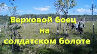 Война в Ленинградских болотах