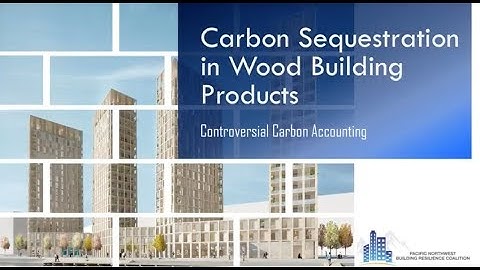 Rethinking Carbon Sequestration in the Built Environment