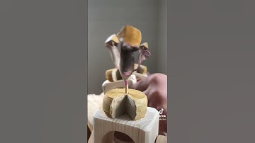 The cheese dance #mice #mouse #cheese #woodcarving #toys #woodworking
