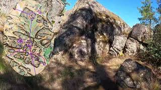 Headcam Orienteering | Fisk State Park, WA NRE | Blue Course | PNWOF Stage 2 | 2026.6.14