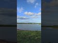Yala national park, bird season.#shorts #youtube #yalanationalpark #travel #water #youtubeshorts