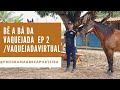 Vaquejada Virtual / Bê a Bá da Vaquejada / Abvaq - Abre a Porteira 53 #vaquejada #abreaporteira