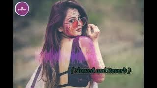 Tohar Mot Hamar Chhot | Slowed and reverb | Bhojpuri holi lofi | Ritesh Pandey Song