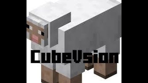 The Grand Final of the CubeVision 2024
