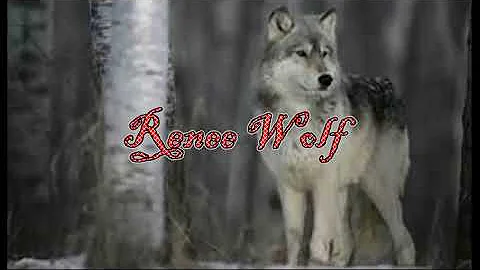 Renee Wolf