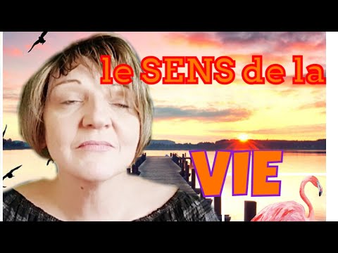 Dans Un Monde Video