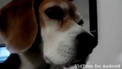 Laly no entiende nada