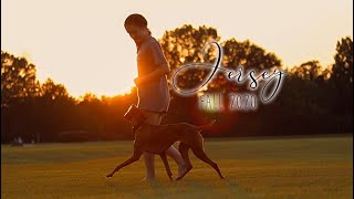 Jersey the Vizsla - Fall 2020 - Disc, Tricks, Agility, and More!