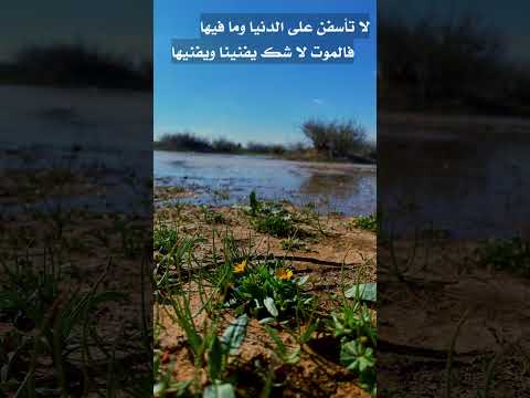 لا تأسفن على الدنيا وما فيها عبدالواحد المغربي