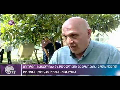 გიორგი ჭანტურიას მკვლელობის ხელახალი გამოძიების მოთხოვნა