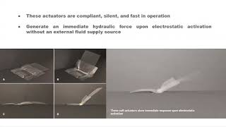 Soft Electrohydraulic Actuators for Origami Inspired Shape-Changing Interfaces screenshot 4