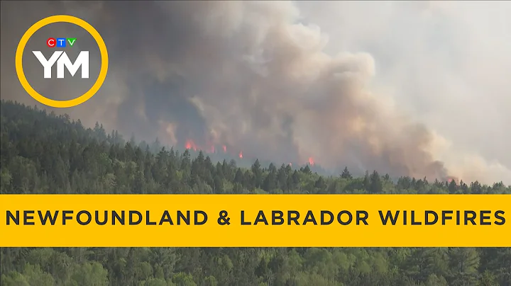 Premier John Hogan on Fighting Devastating Newfoundland & Labrador Wildfires | Your Morning