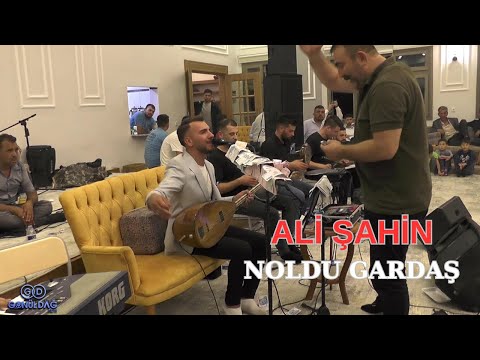 Ali Şahin /Antep'ten Öte(Noldu Gardaş)/ Karanlıkdere Düğün Kayıtları [Gönül Dağ Medyaᴴᴰ] 2024