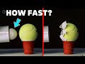 Ballistic Ping Pong Ball vs. Tennis Ball at 450km/h!