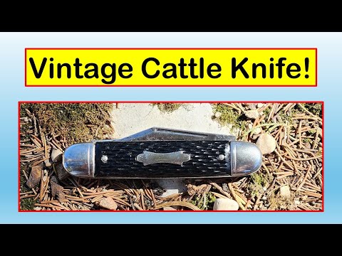 HOME ON THE RANGE! A Classic, Vintage Colonial Cattle Knife