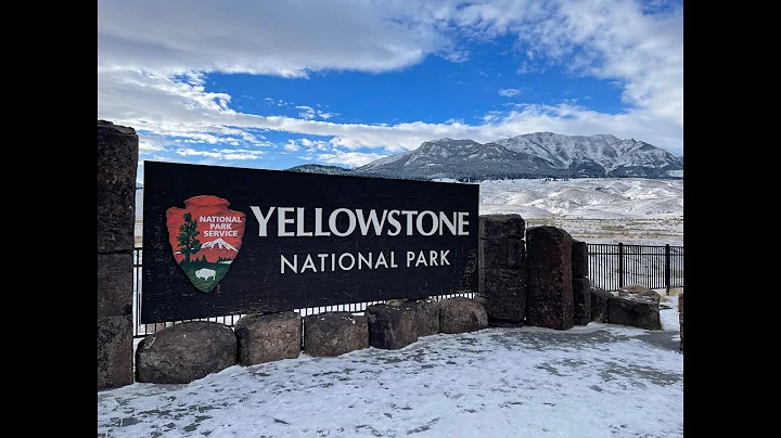Yellowstone 2021