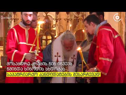 პატრიარქმა მის მოსაყდრედ მიტროპოლიტი შიო მუჯირი დაასახელა
