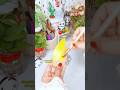 🎯যে ট্যালেন্ট 📌সবার থাকে না‼️🙄 #viral #trending #foryou