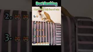 Cats love to be teased 🤣#foryou #cat #funny #cute #funnytiktok #pets #funnycats #funnyvideos